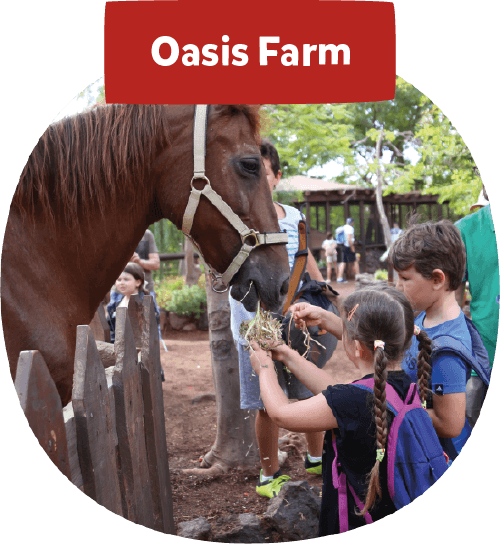 Oasis farm