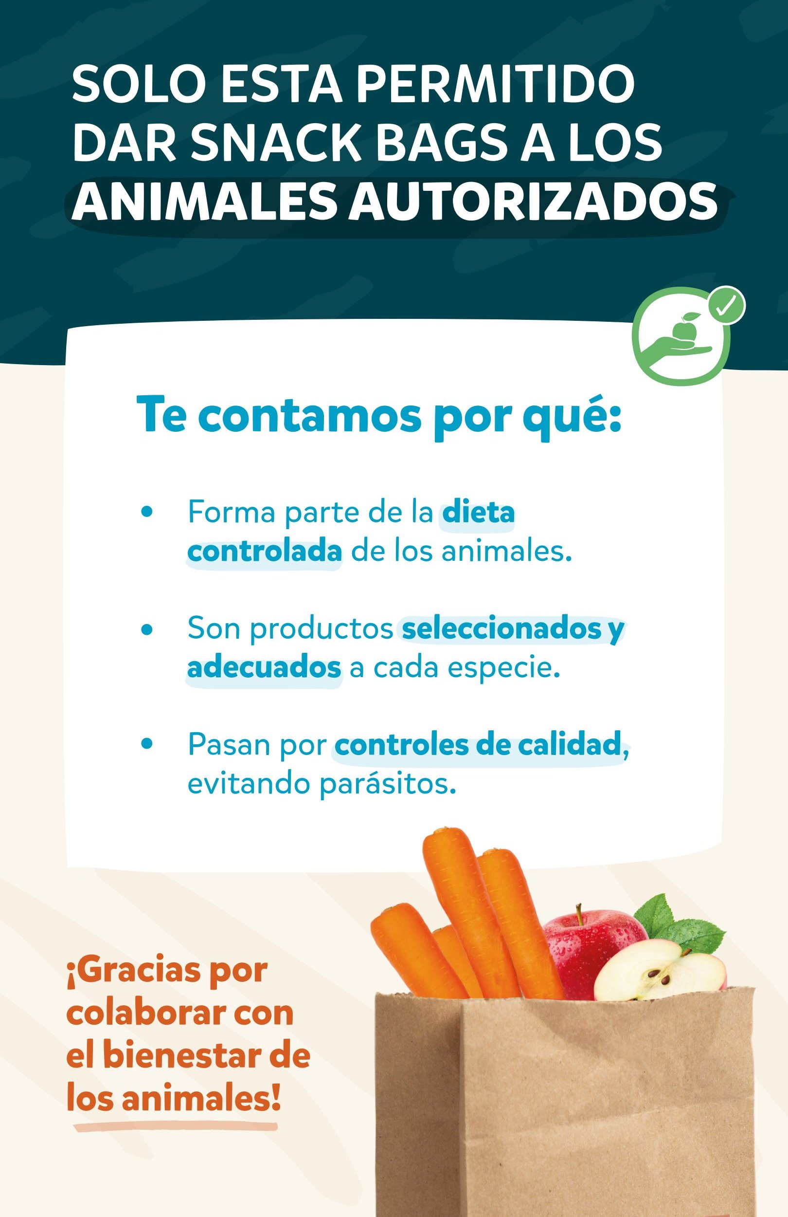 Snack Bags — Español