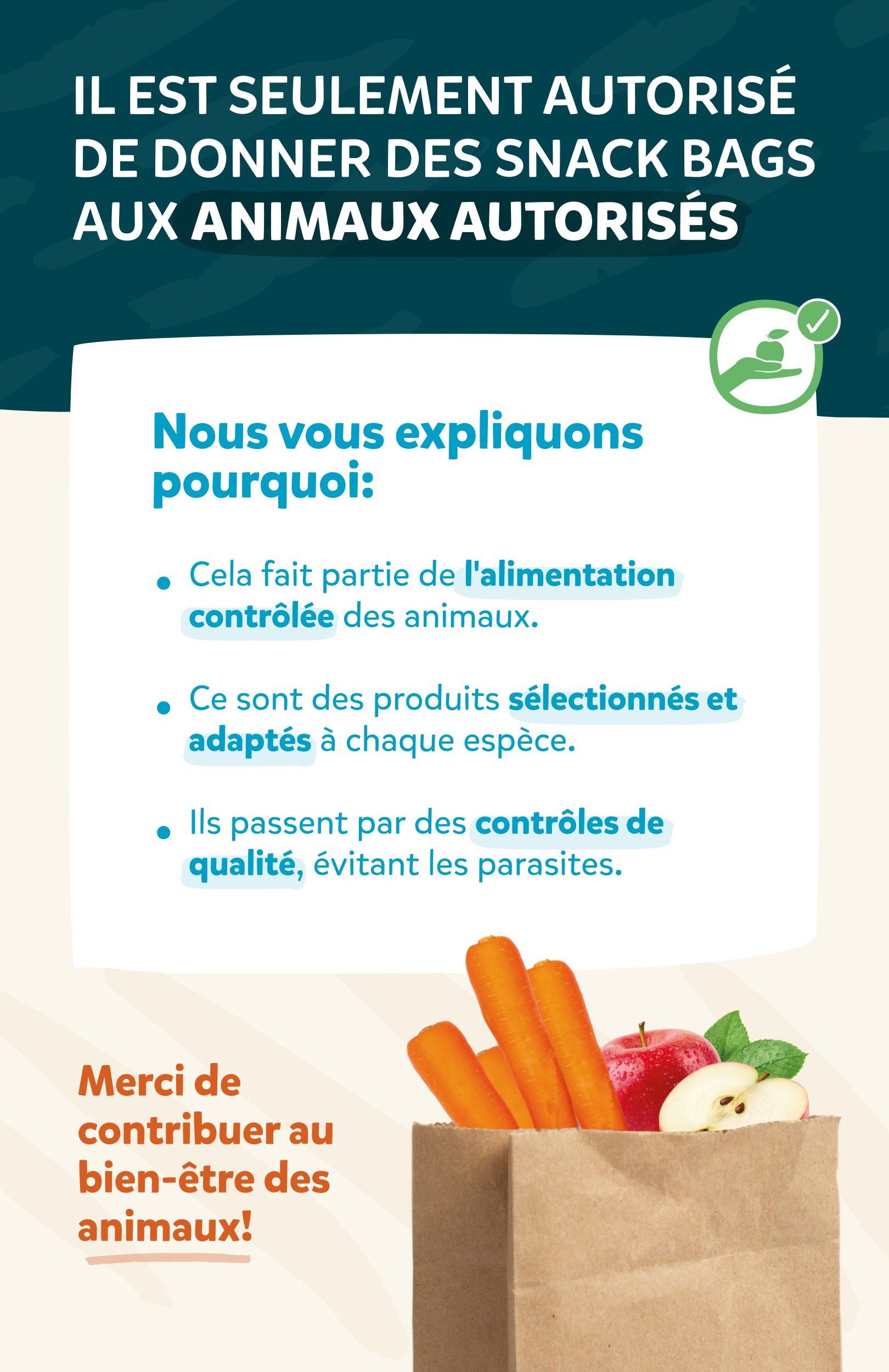 Snack Bags — Français