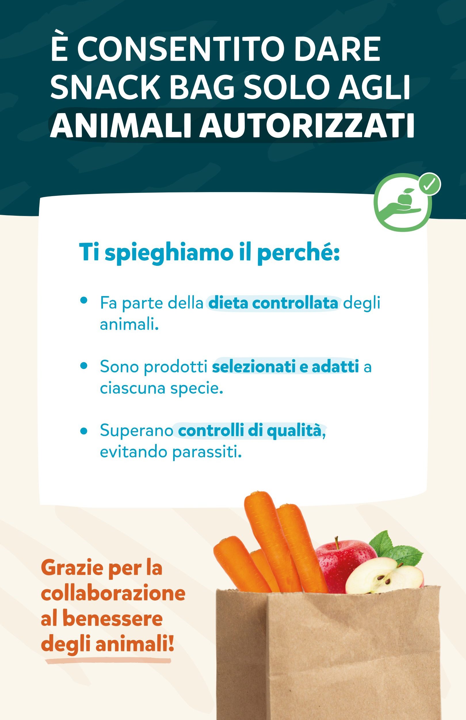 Snack Bags — Italiano
