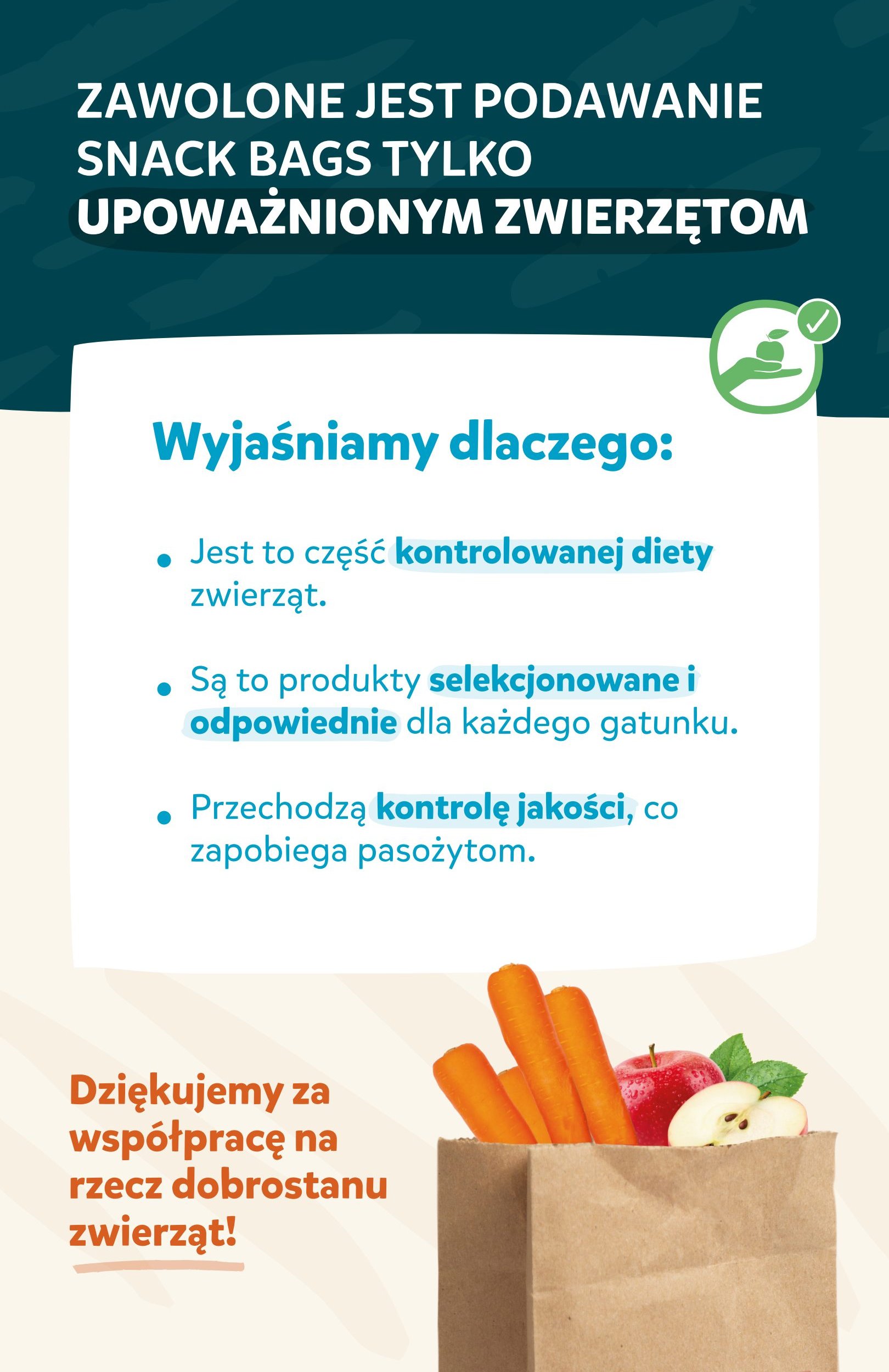Snack Bags — Polski